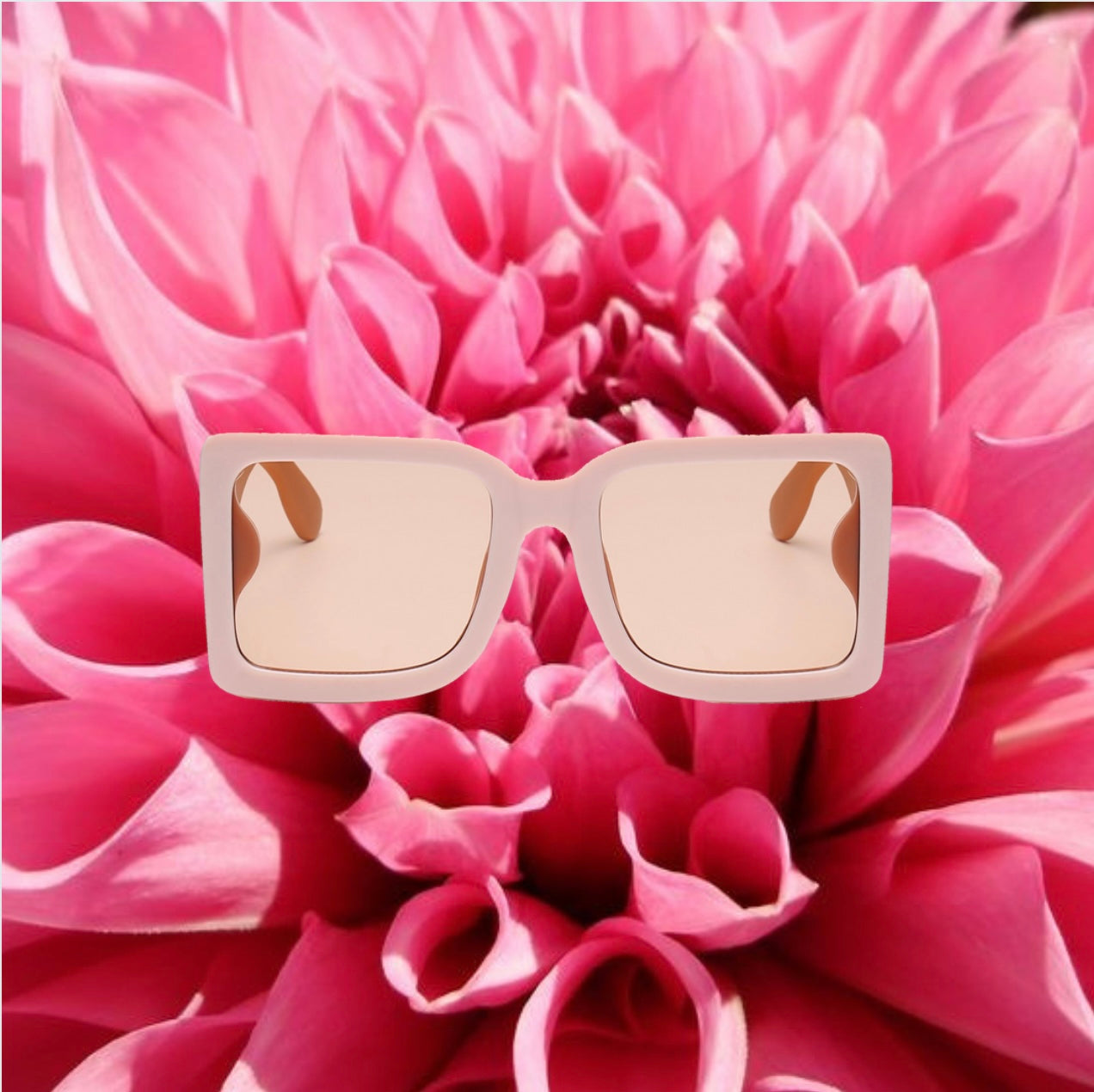 “LITTLE HAITI” SUNNIES